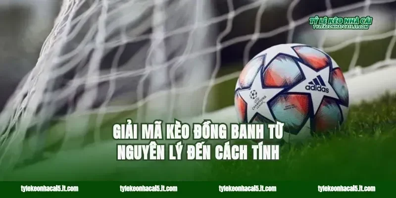 Giải mã kèo đồng banh từ nguyên lý đến cách tính