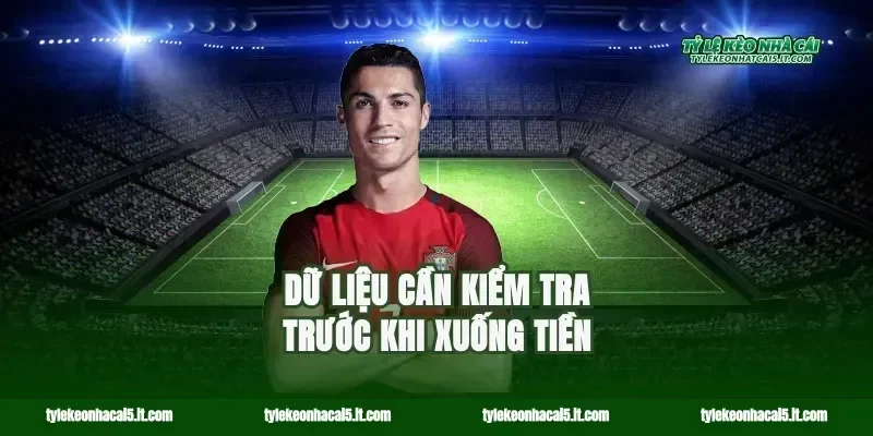 Dữ liệu cần kiểm tra trước khi xuống tiền