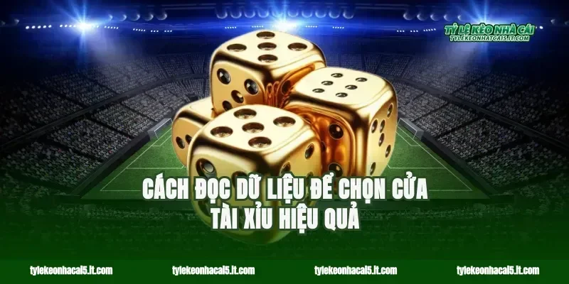 Cách đọc dữ liệu để chọn cửa tài xỉu hiệu quả