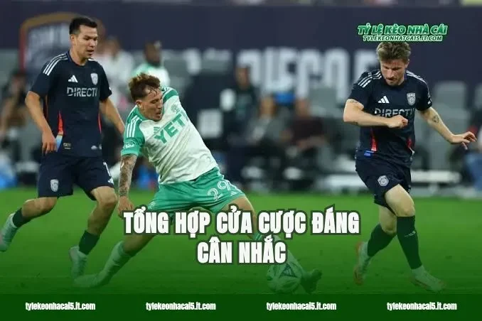 Tổng hợp cửa cược đáng cân nhắc
