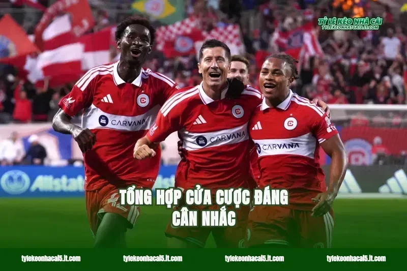 Tổng hợp cửa cược đáng cân nhắc