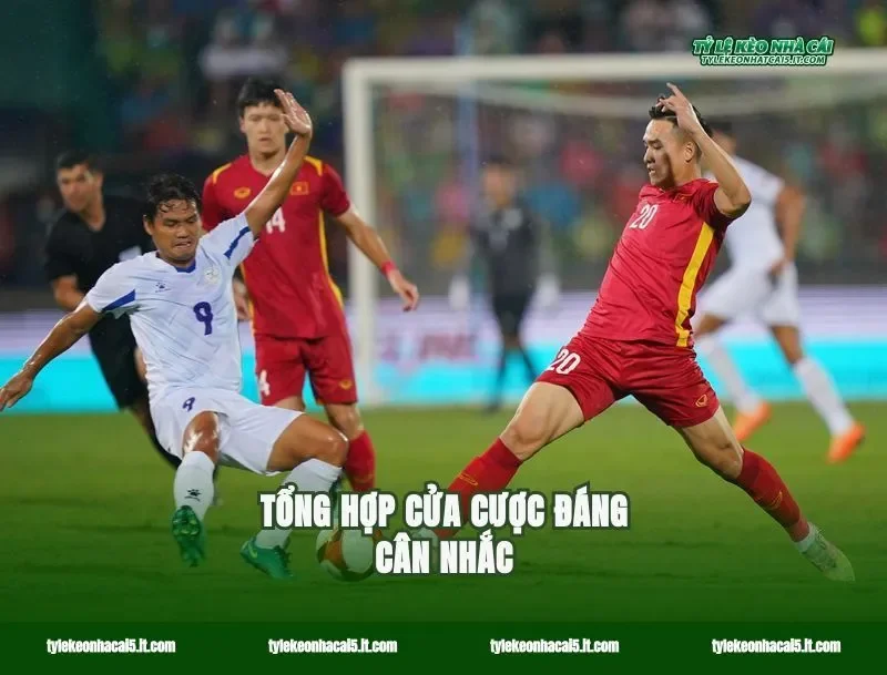 Tổng hợp cửa cược đáng cân nhắc