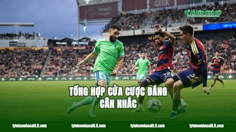 Tổng hợp cửa cược đáng cân nhắc